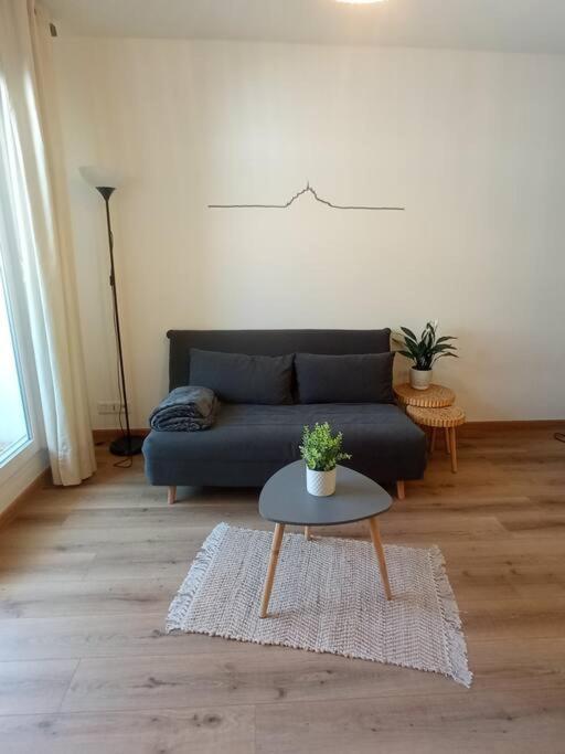 A 50 M De La Plage, Appartement De 35 M2 : Les Pieds Sales Bréhal Eksteriør bilde