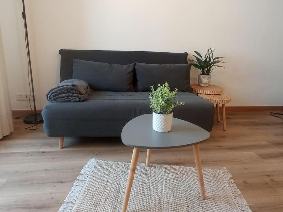 A 50 M De La Plage, Appartement De 35 M2 : Les Pieds Sales Bréhal Eksteriør bilde